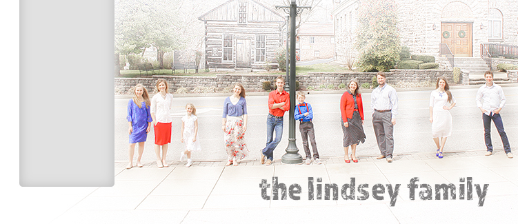 the lindsey family